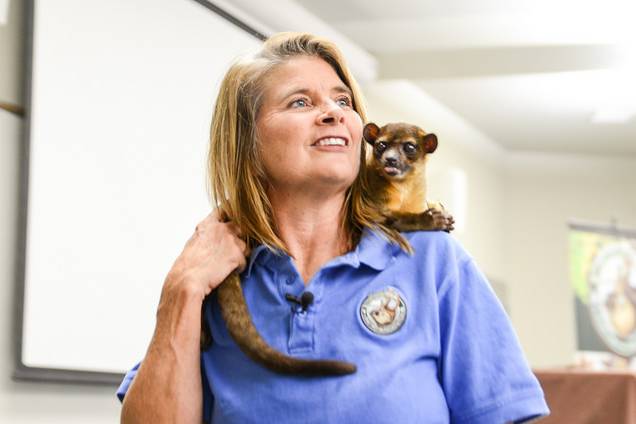 Kimberly with Kima the Kinkajou