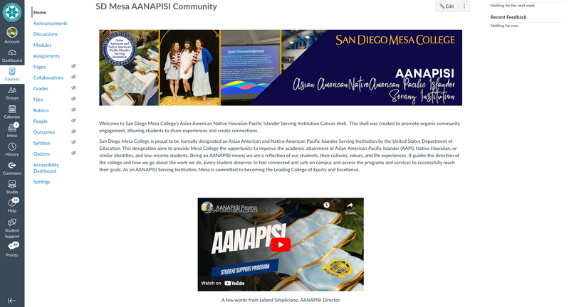 aanapisi community canvas shell